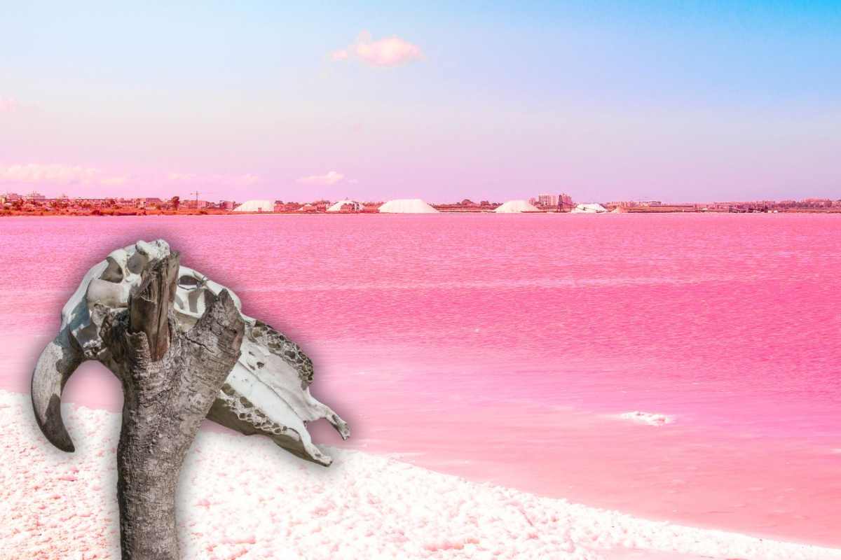 lago rosso letale pietrifica gli animali